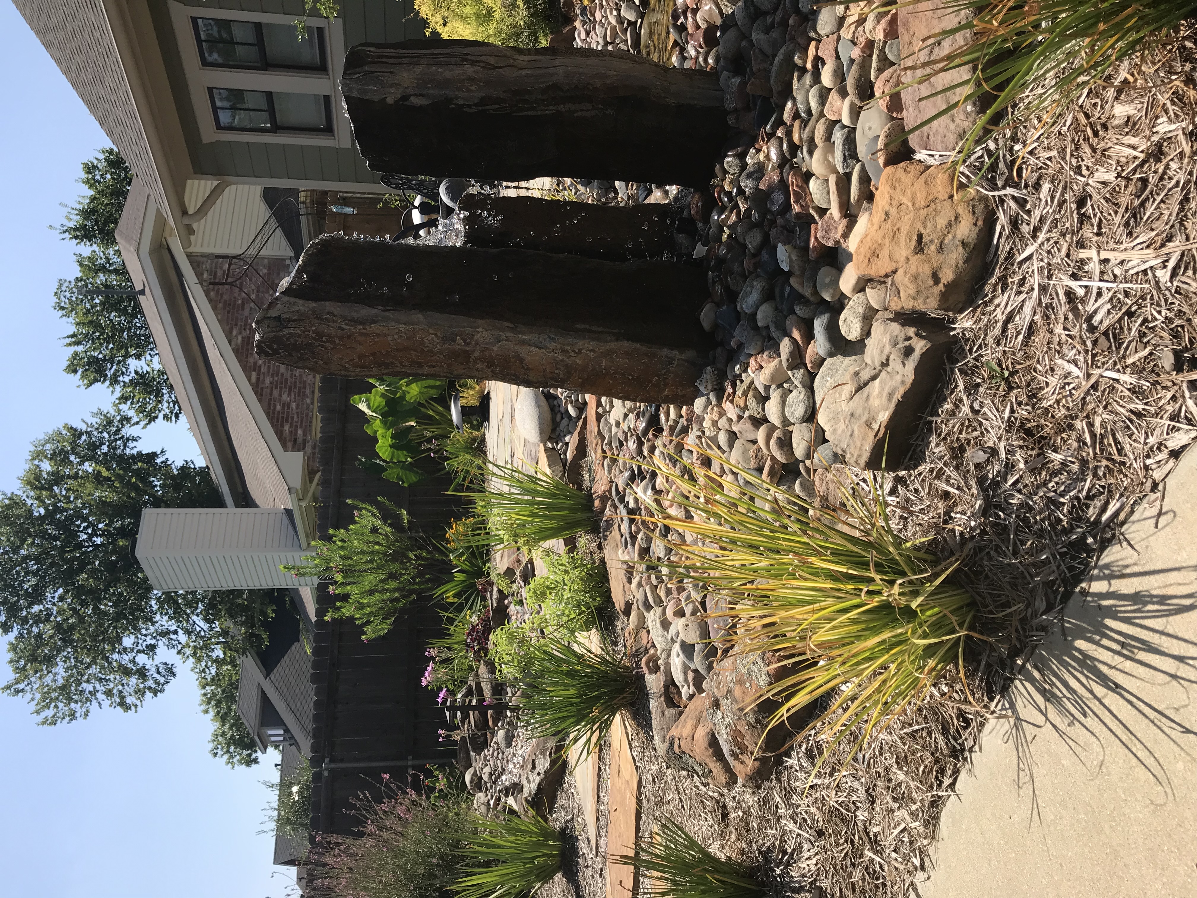backyard-garden