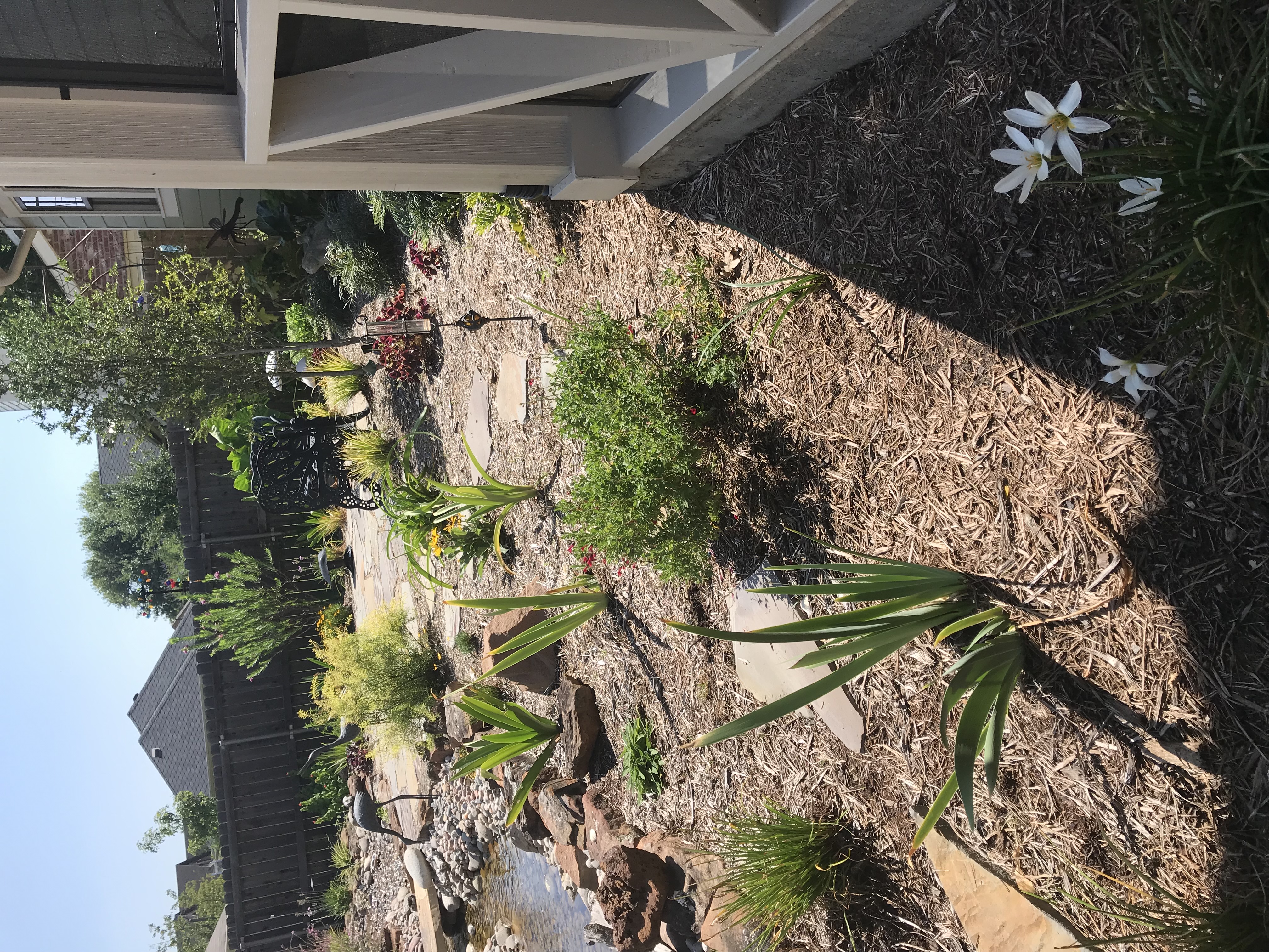backyard-garden