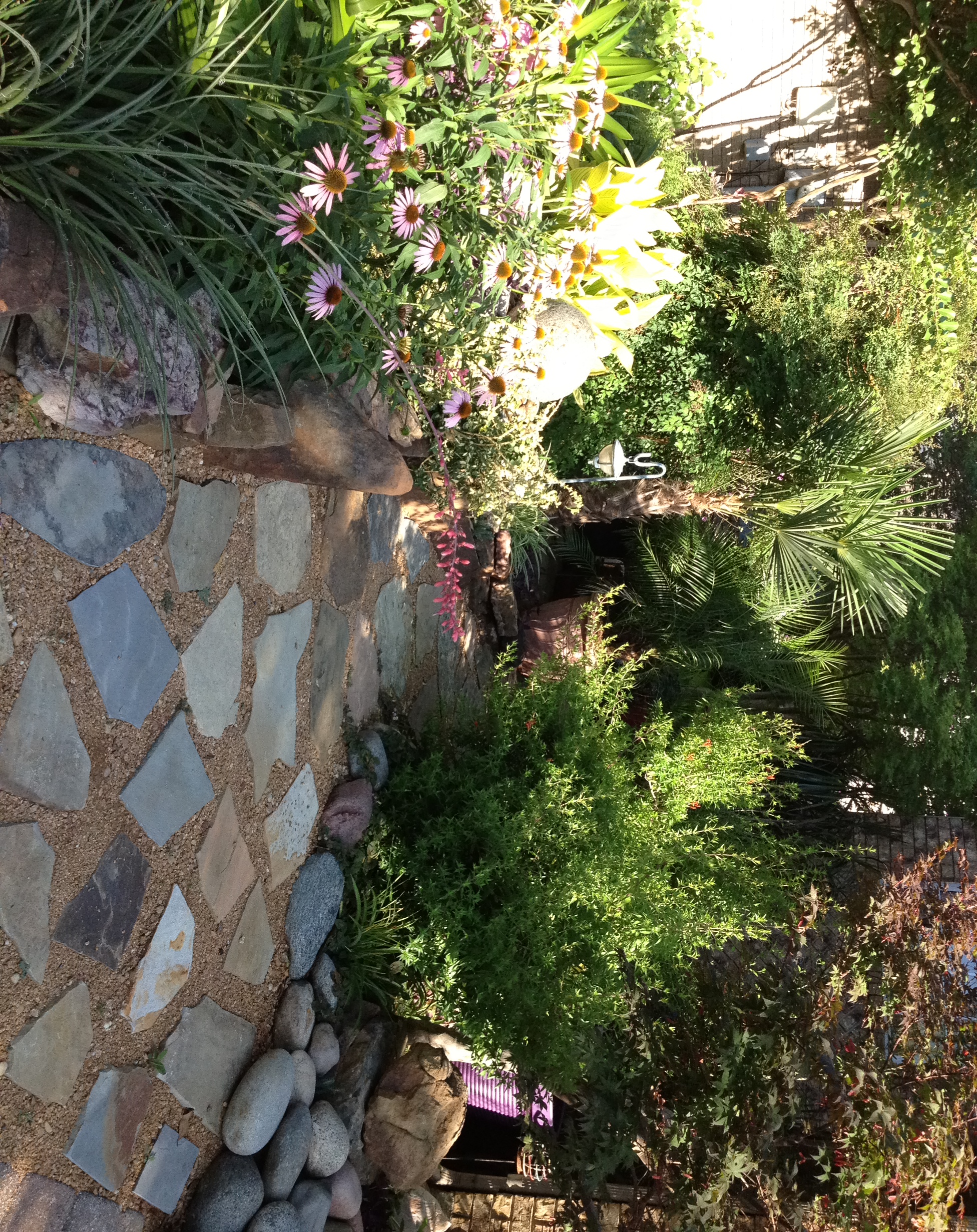 path-and-garden